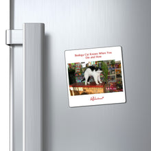 "Bodega Cat Knows When You Die and How" Magnet