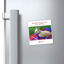 "BREAKING: Stranger Petting Your Dog Wrong" Magnet
